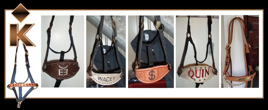 LV Bronc Style Halter